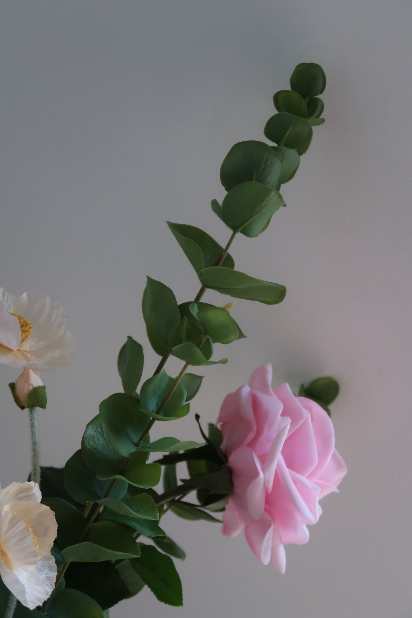 Blush Romance