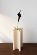Black Purple Calla
