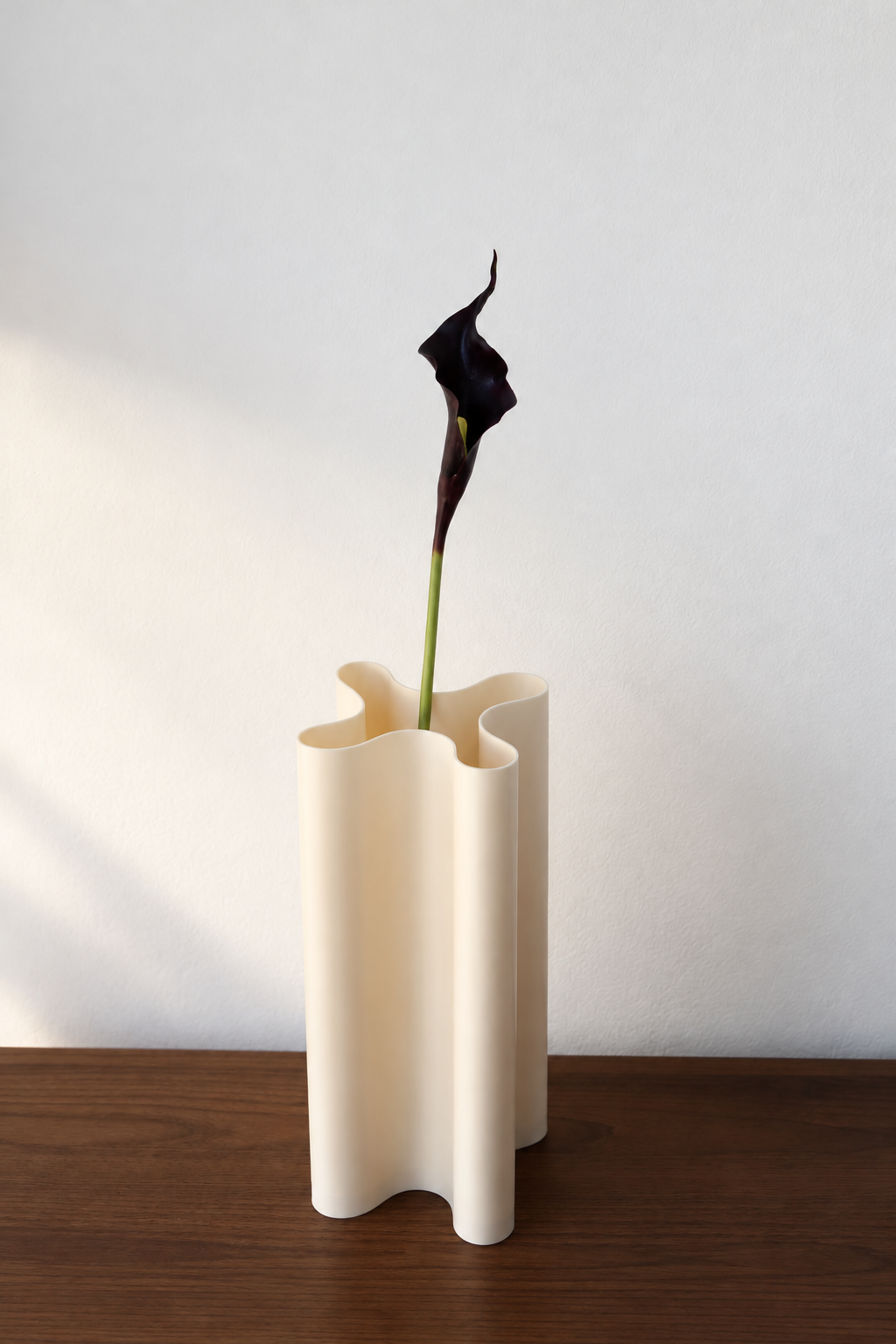 Black Purple Calla