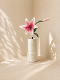 Pink Lily
