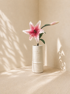 Pink Lily