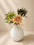Three-colour chrysanthemum