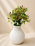 Blush Green Chrysanthemums