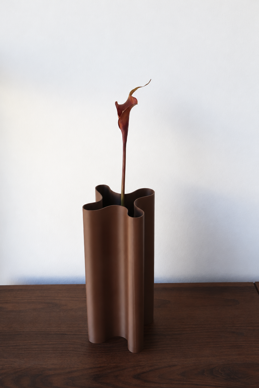 Coffee Calla