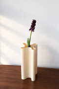 Dark Purple Hyacinth