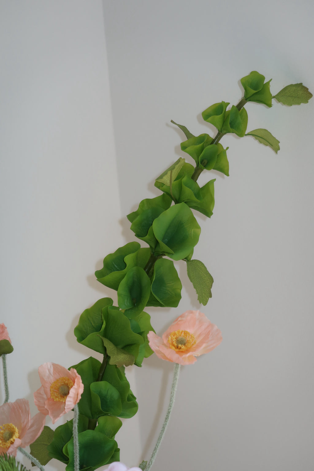 Soft Escape