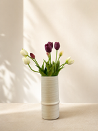 White & purple Tulips