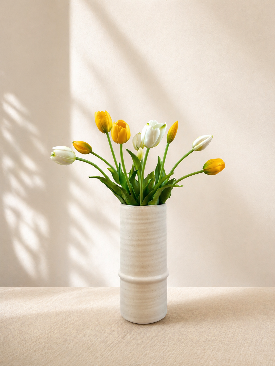 White & yellow Tulips