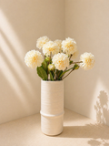 Cream Dahlias