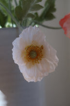 Peachy Poppies