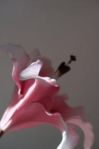 Pink Lily Bouquet - 5 Stems