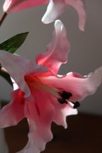 Pink Lily Bouquet – 3 Stems