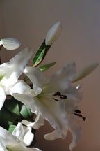 White Lily Bouquet - 5 Stems