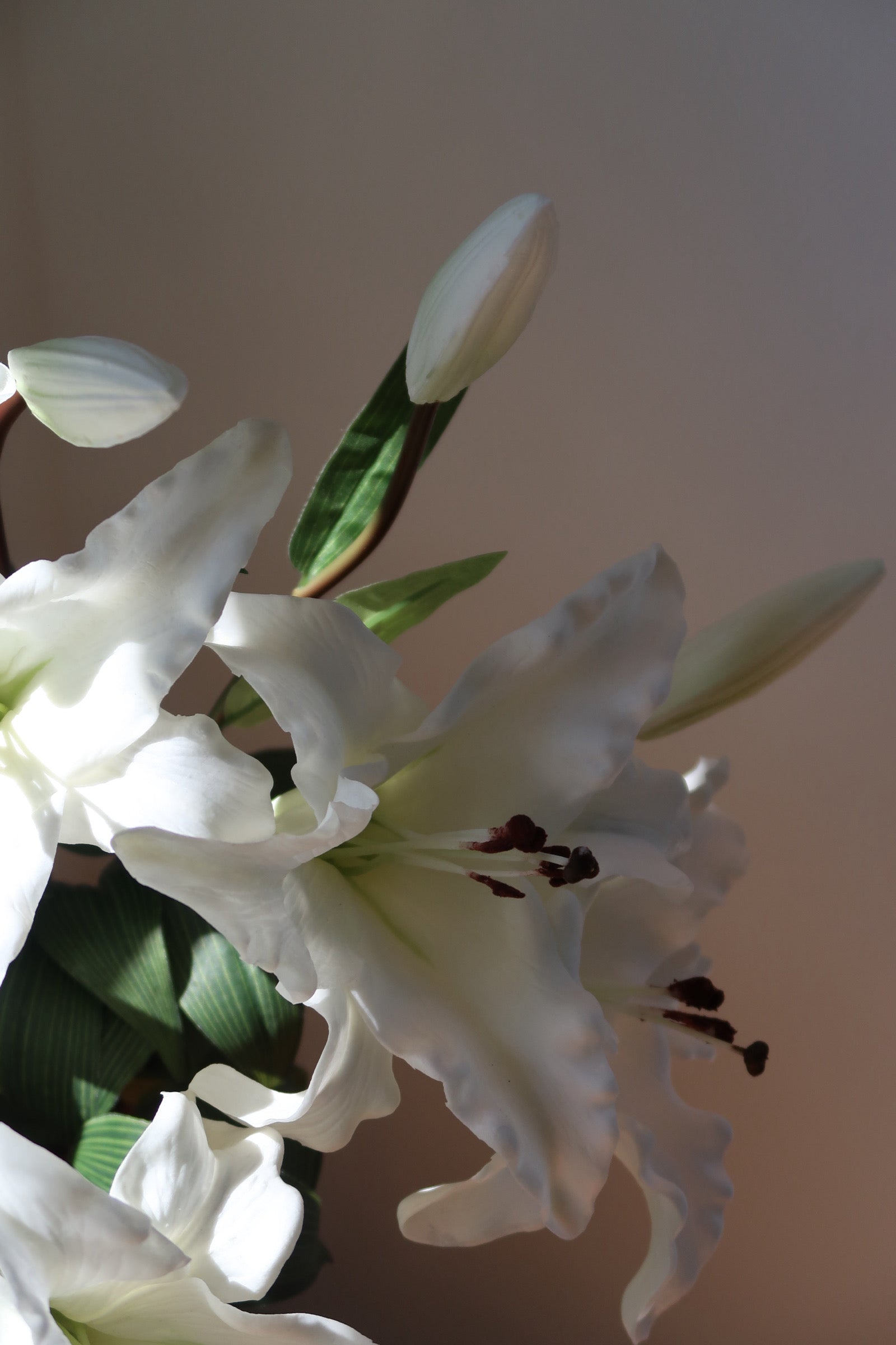 White Lily Bouquet - 5 Stems