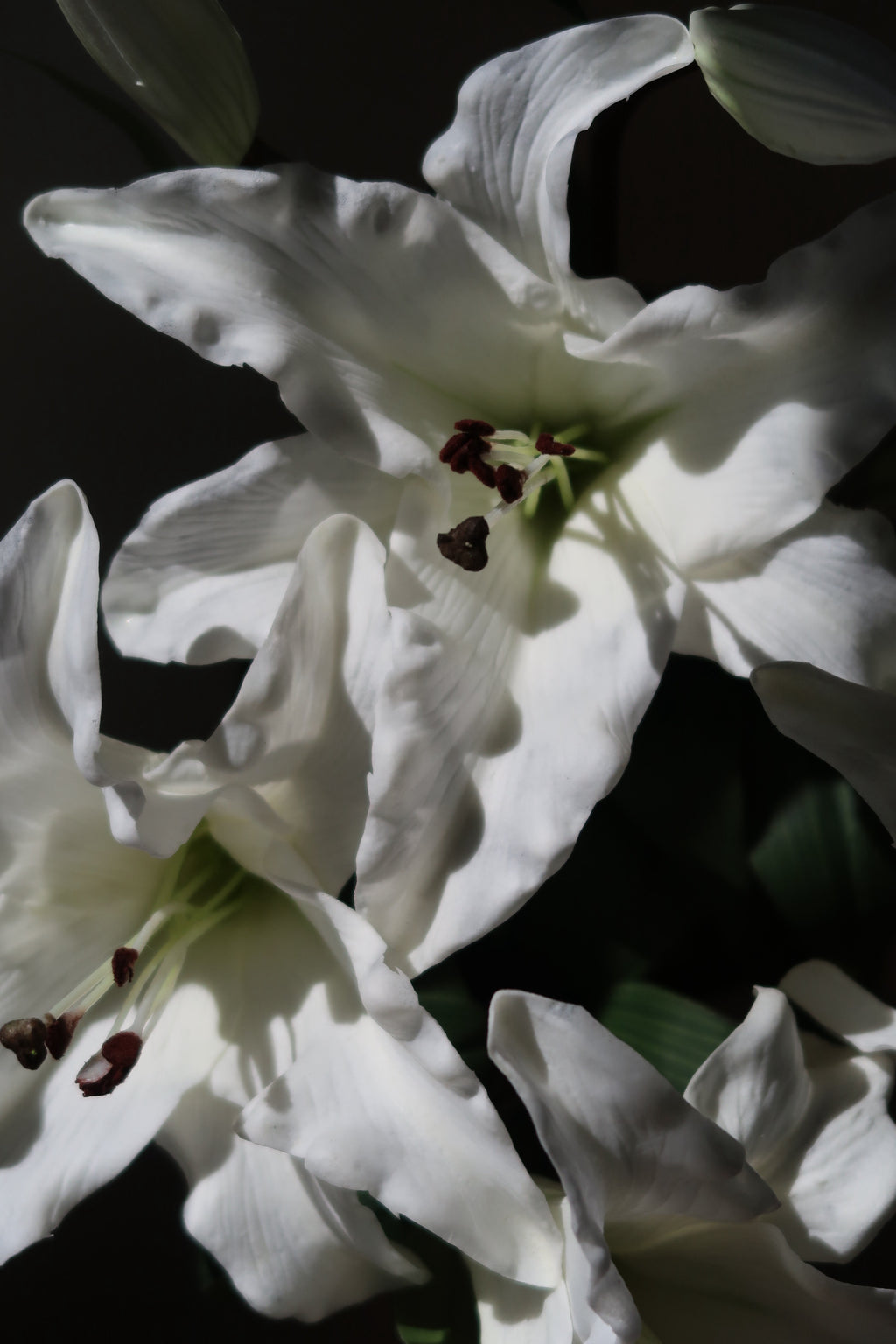 White Lily Bouquet - 5 Stems
