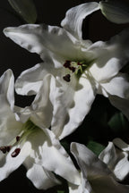 White Lily Bouquet - 5 Stems