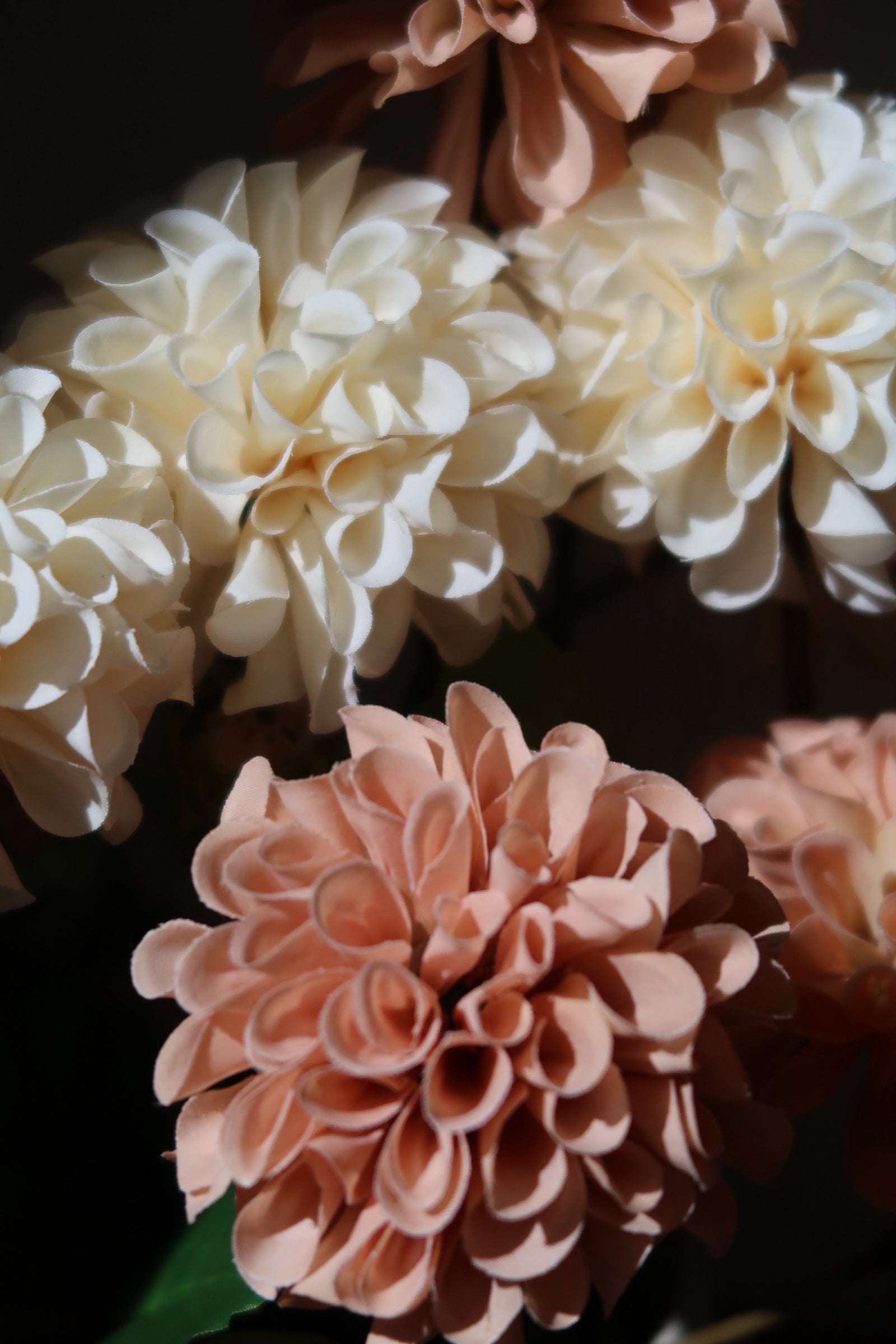 Light Coffee & Cream Dahlias