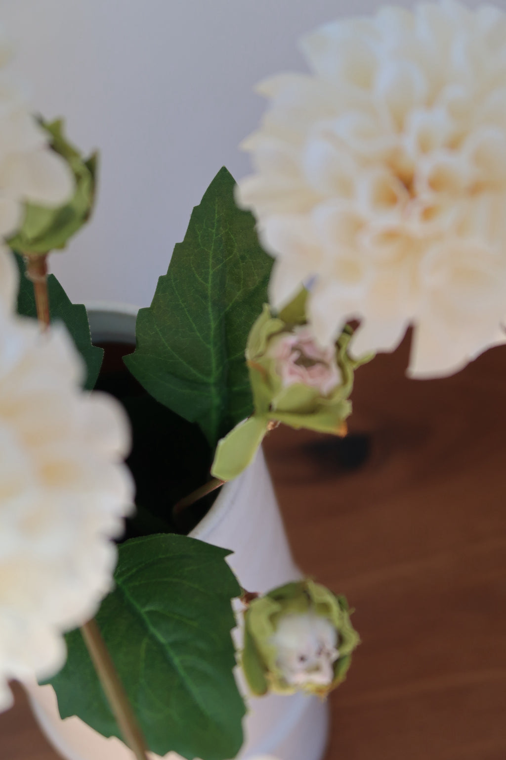 Light Coffee & Cream Dahlias