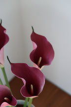 Dark Pink Callas