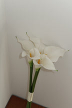 White Callas
