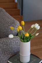 White & yellow Tulips