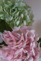 Green & Pink Hydrangeas