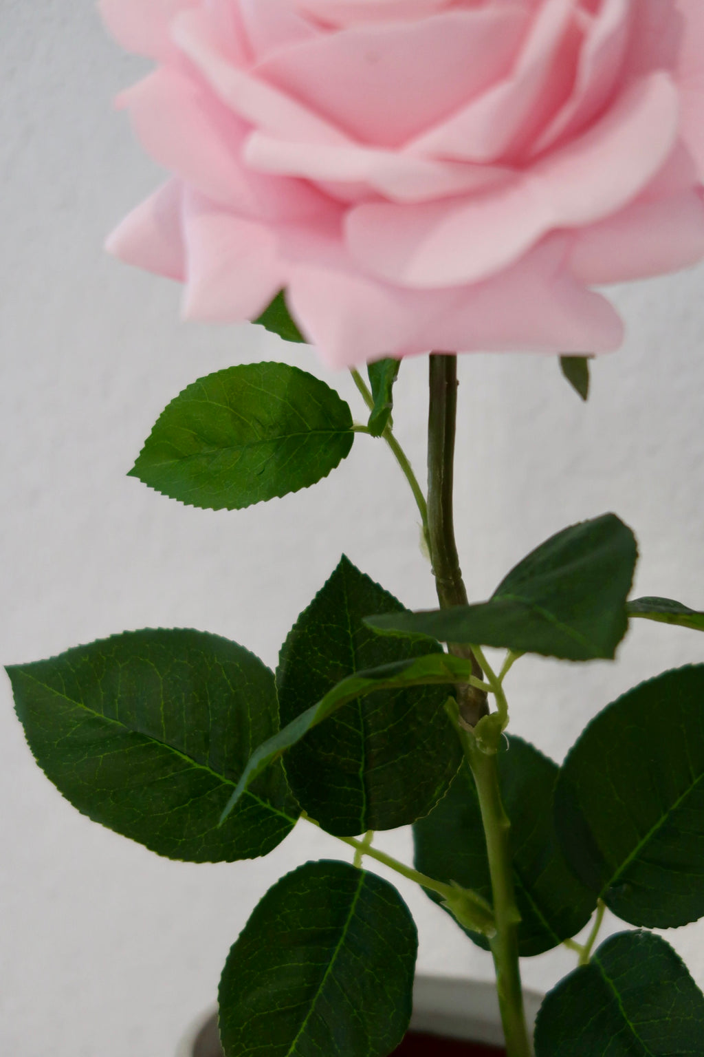 Pink Rose Bouquet