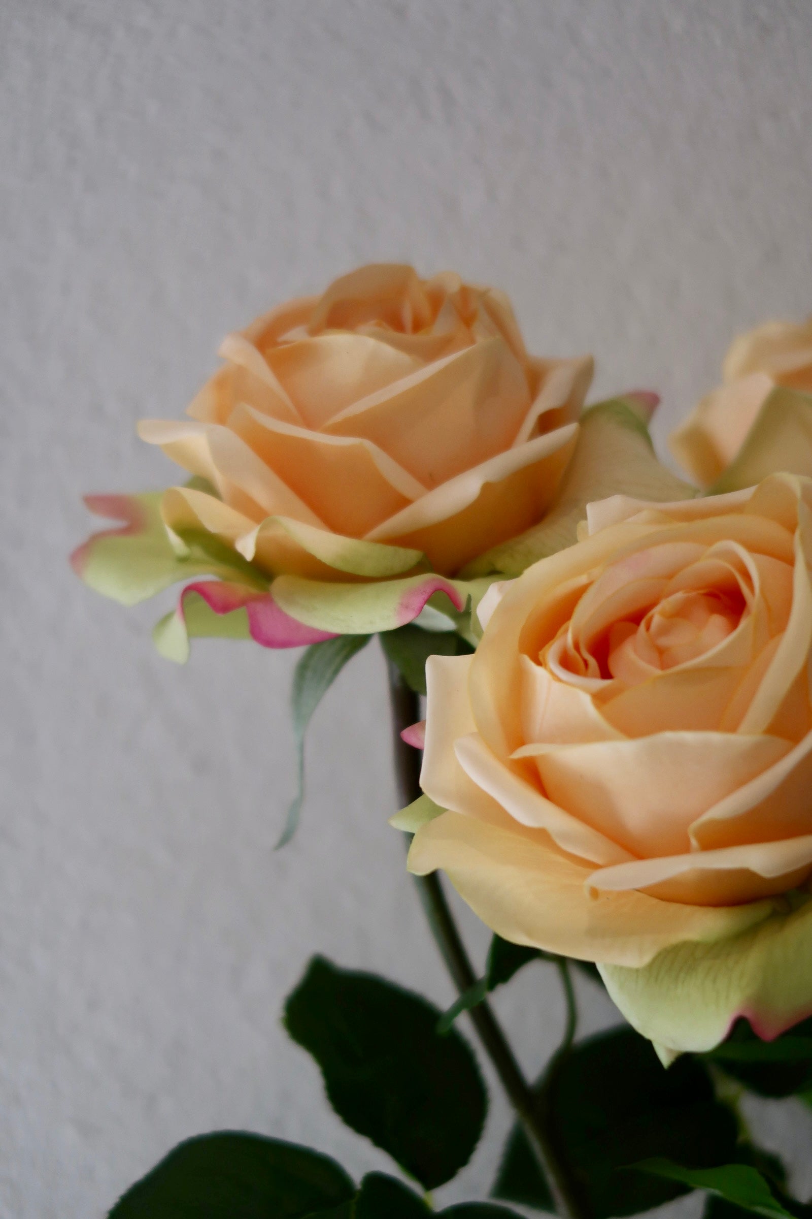 Champagne Rose Bouquet