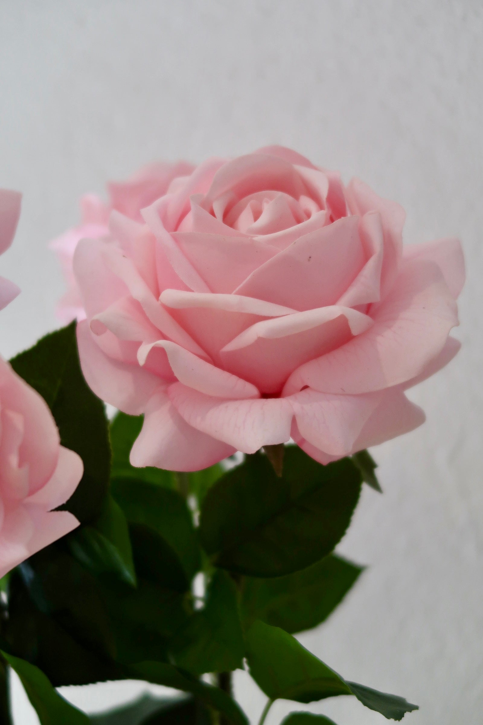 Pink Rose Bouquet