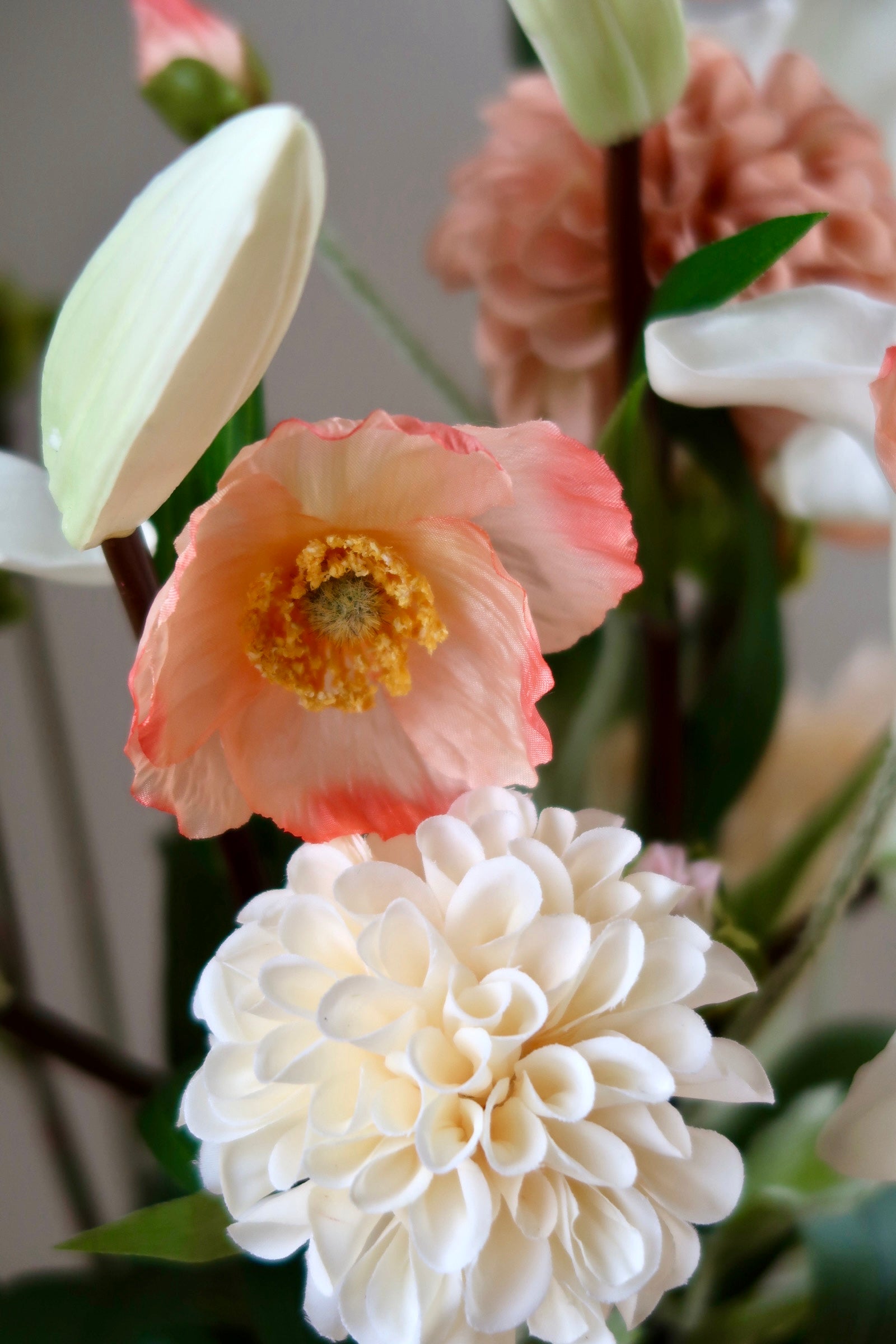 Sunset Bloom