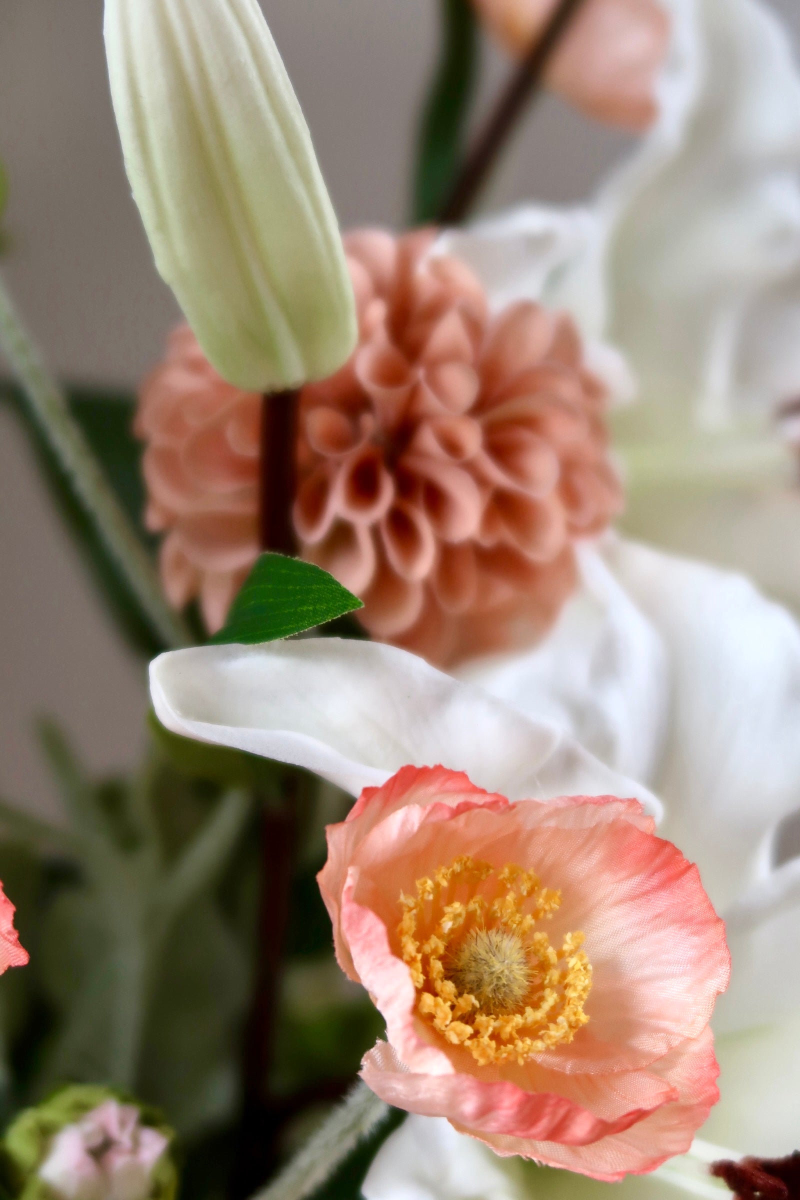 Sunset Bloom