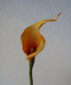 Golden Cranberry