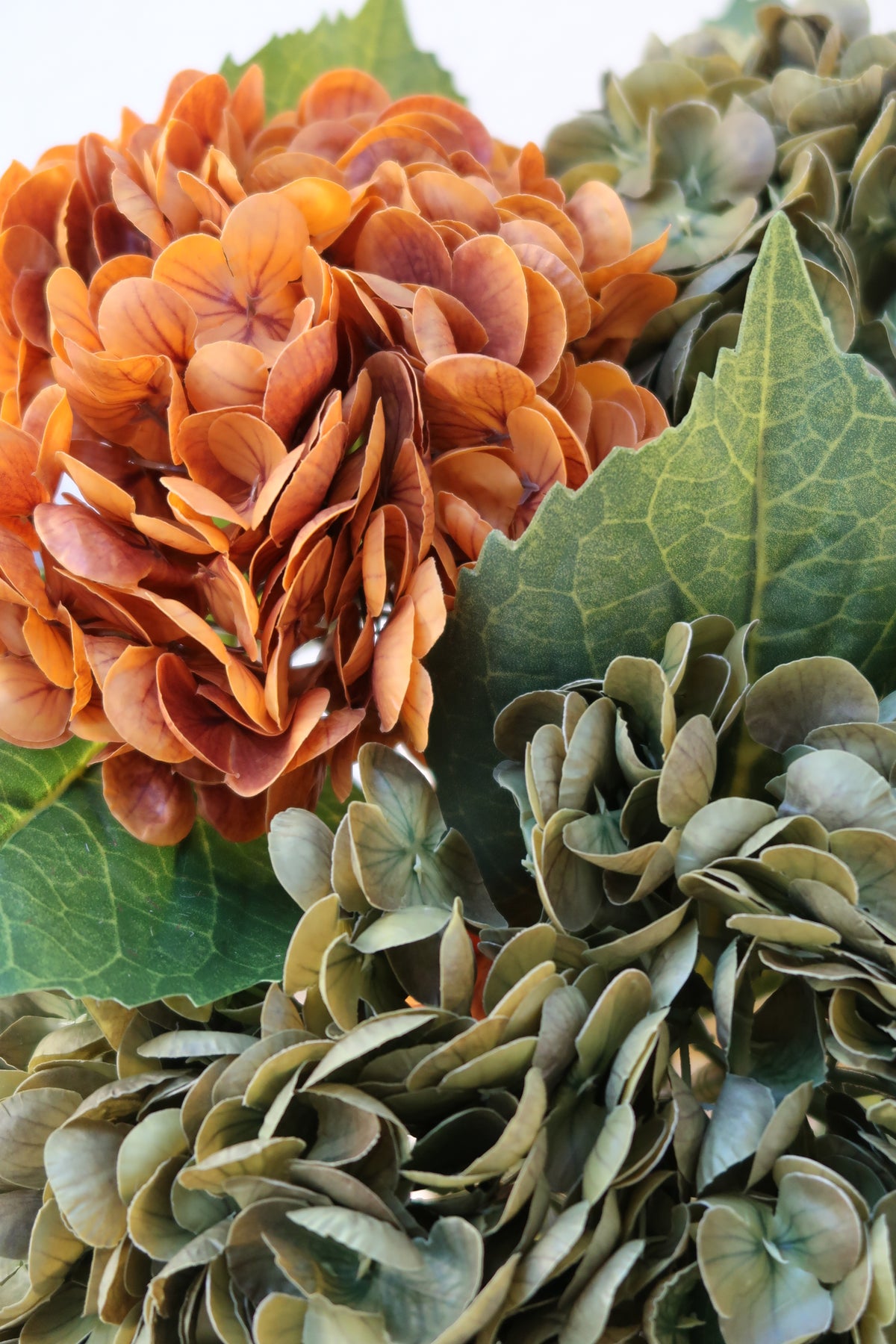 Olive Green & Orange Hydrangeas