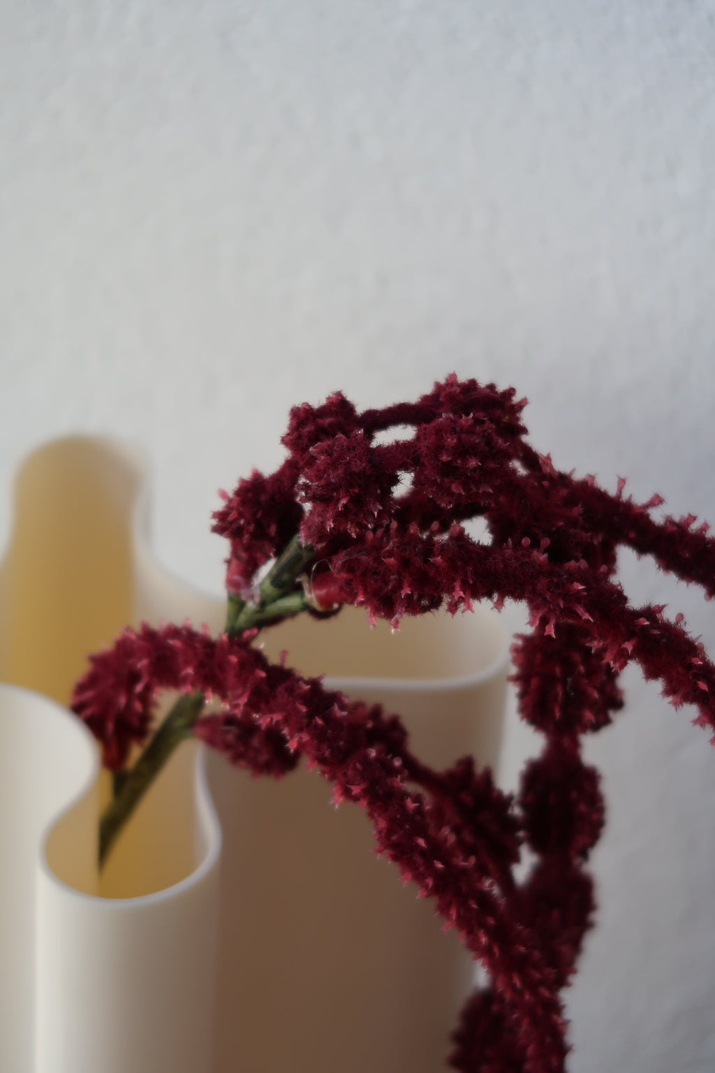 Mulberry Muse