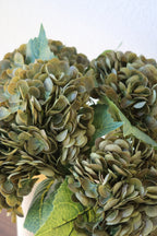Olive Green Hydrangeas