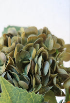 Olive Green & Orange Hydrangeas