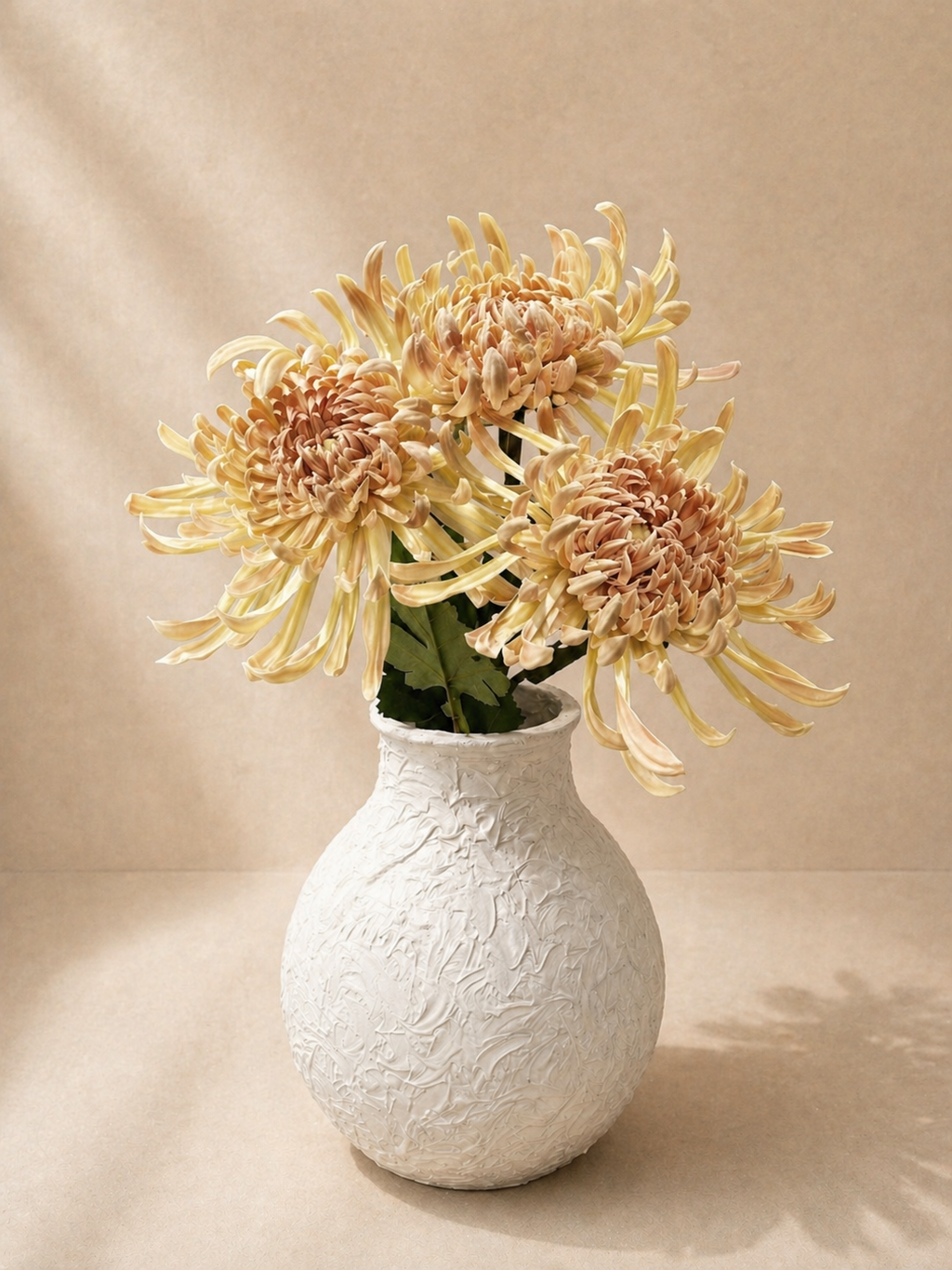 Light Coffee Chrysanthemums
