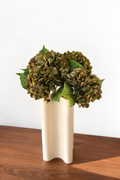 Olive Green Hydrangeas
