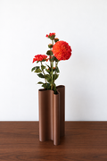 Orange Dahlia