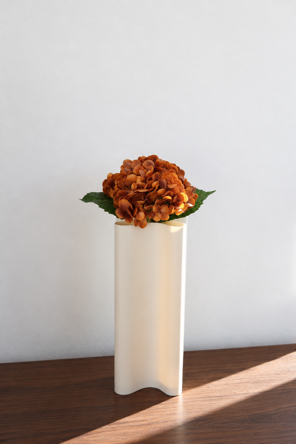 Orange Hydrangea