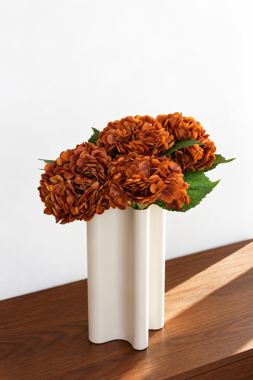 Orange Hydrangeas