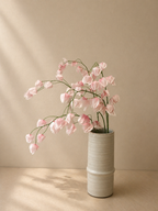 Pink Lantern Fruit