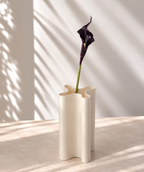 Calla noir-violet