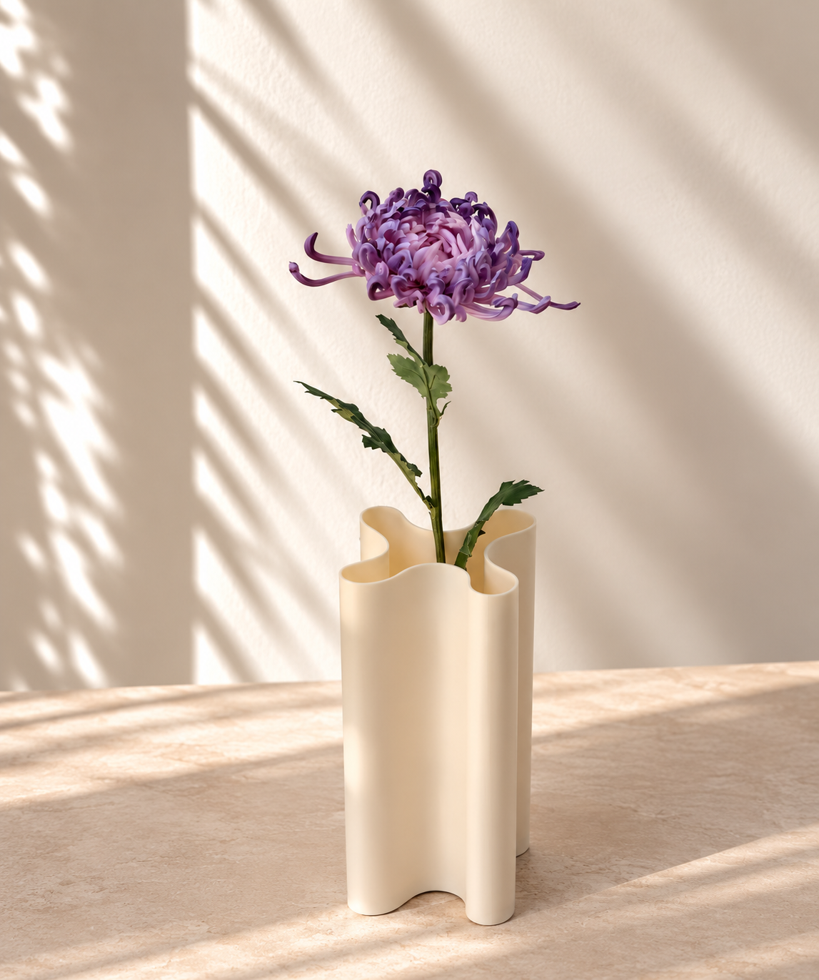 Chrysanthème violet