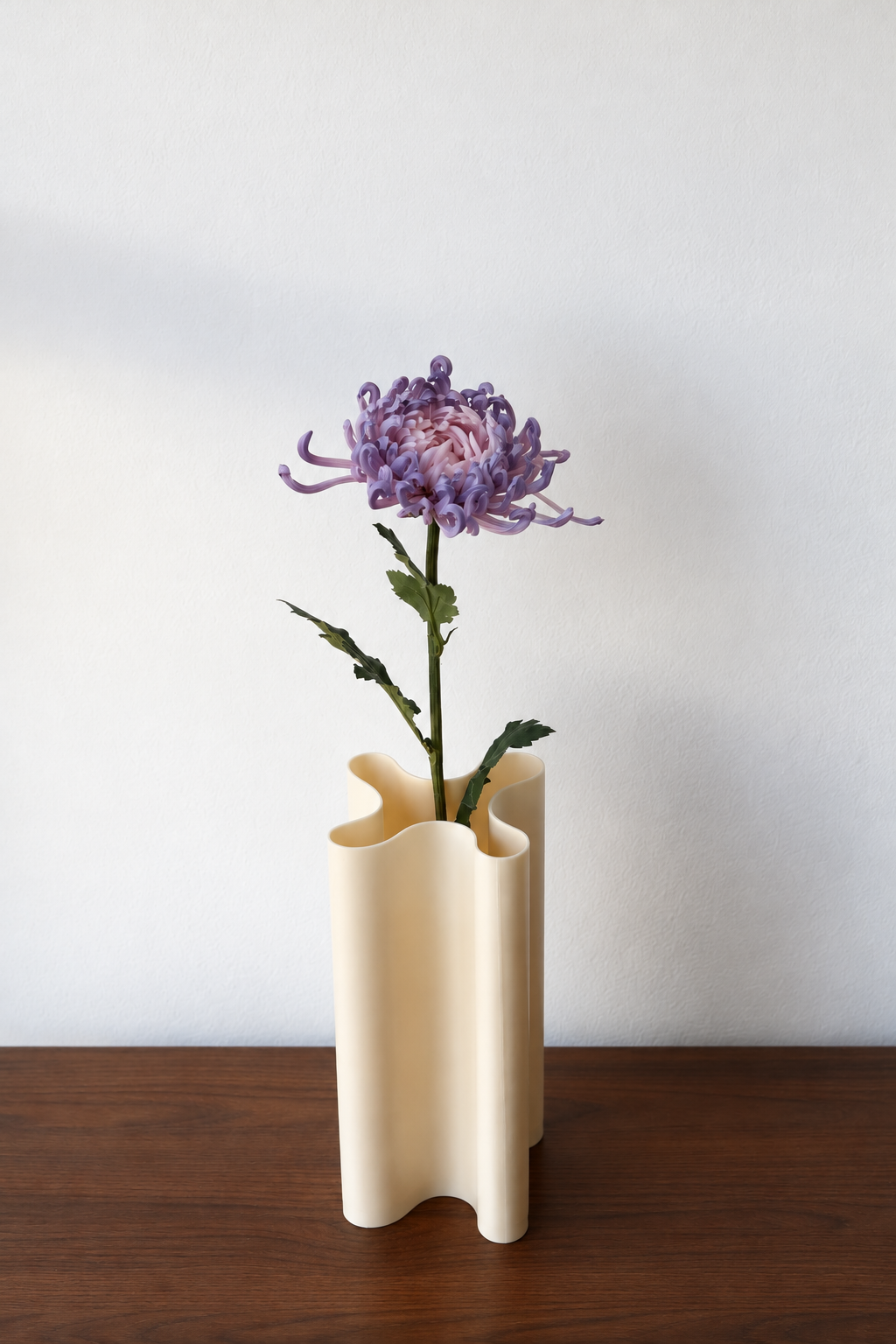Purple Chrysanthemum