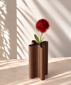Red Trick Dianthus