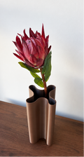 Red King Protea