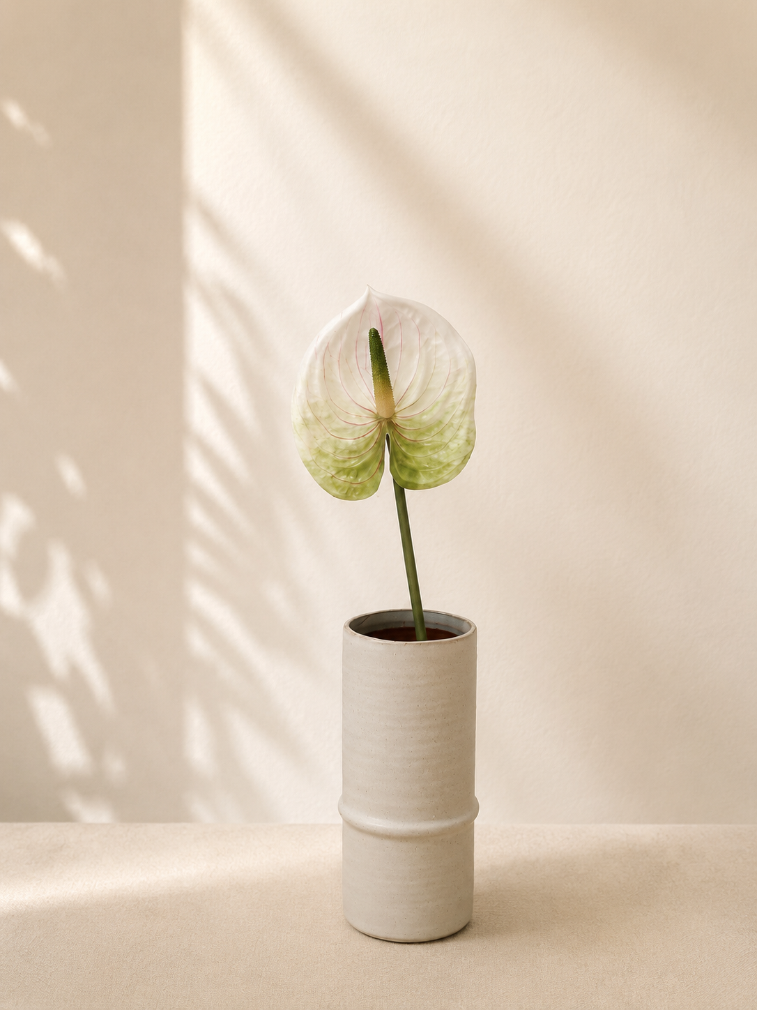 Green Anthurium