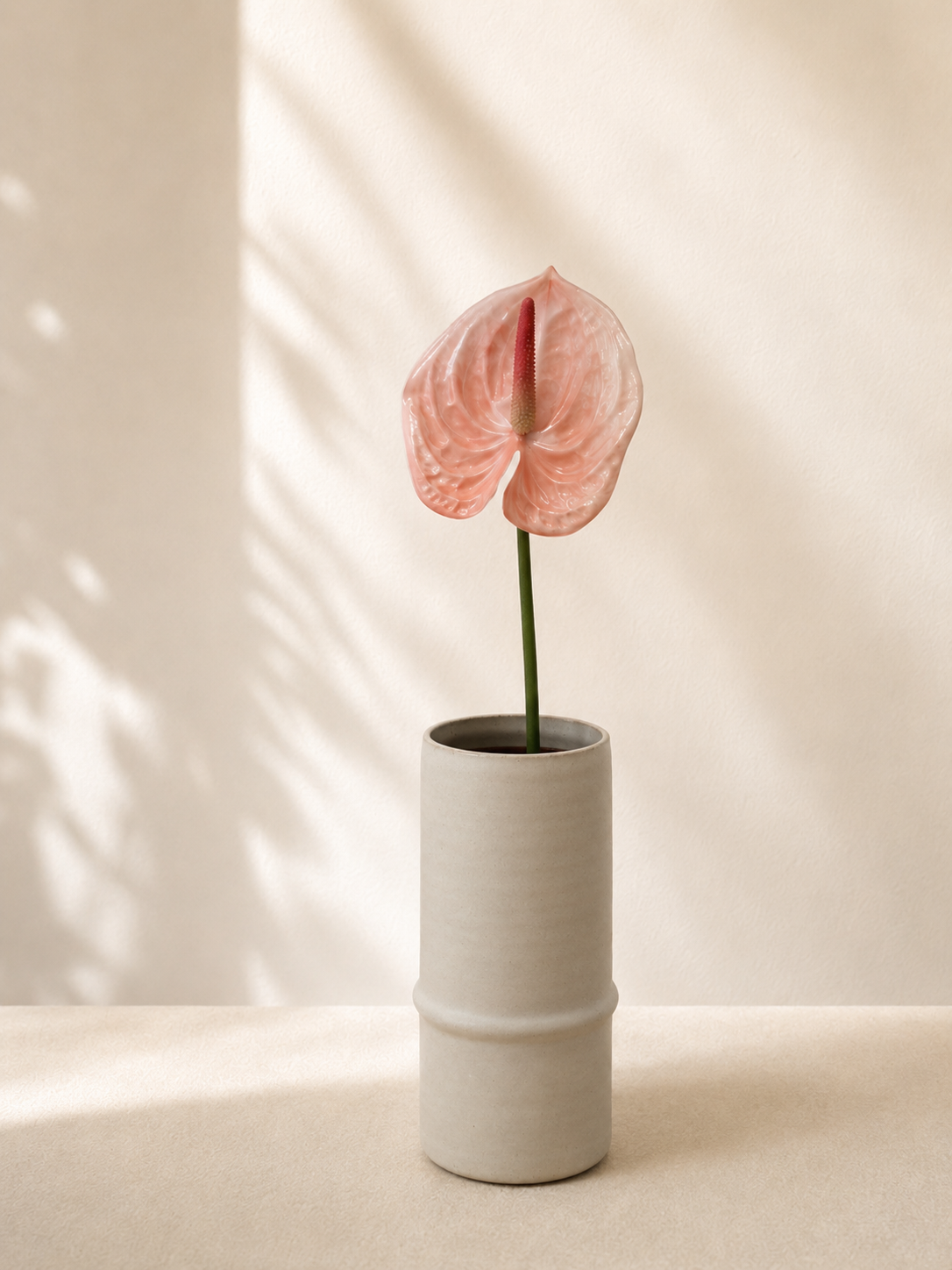 Pink Anthurium