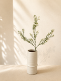 White Baby Breath